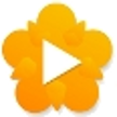 Ver Video